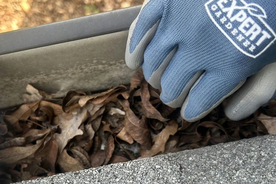 Gutter Cleaning Shenandoah, TX