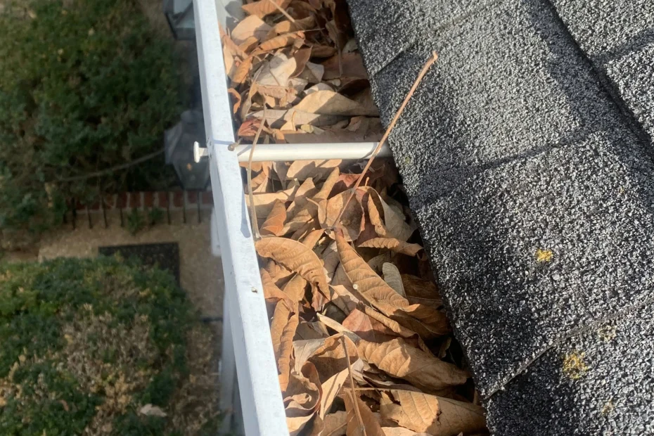 Gutter Cleaning Shenandoah, TX